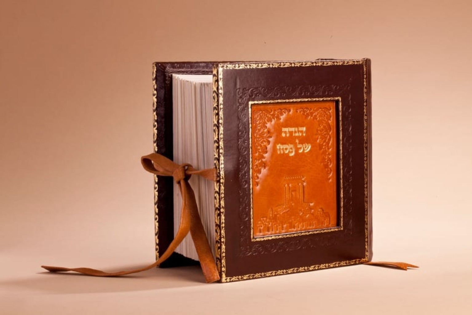 Illustrated Passover Haggadah Illustrated Passover Haggadah